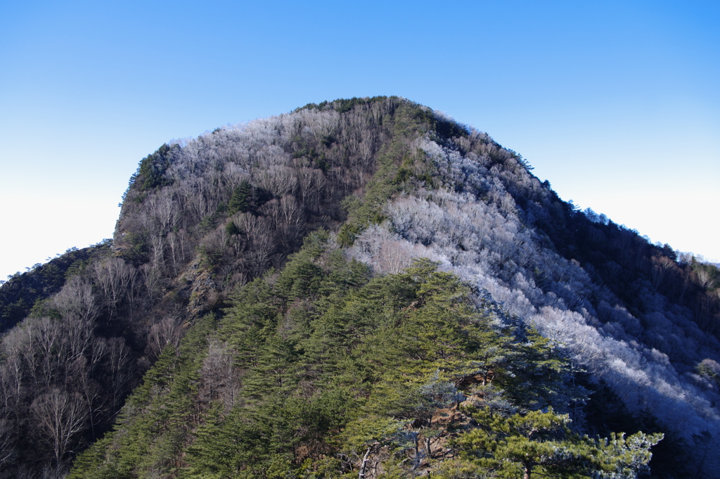 天狗山山頂