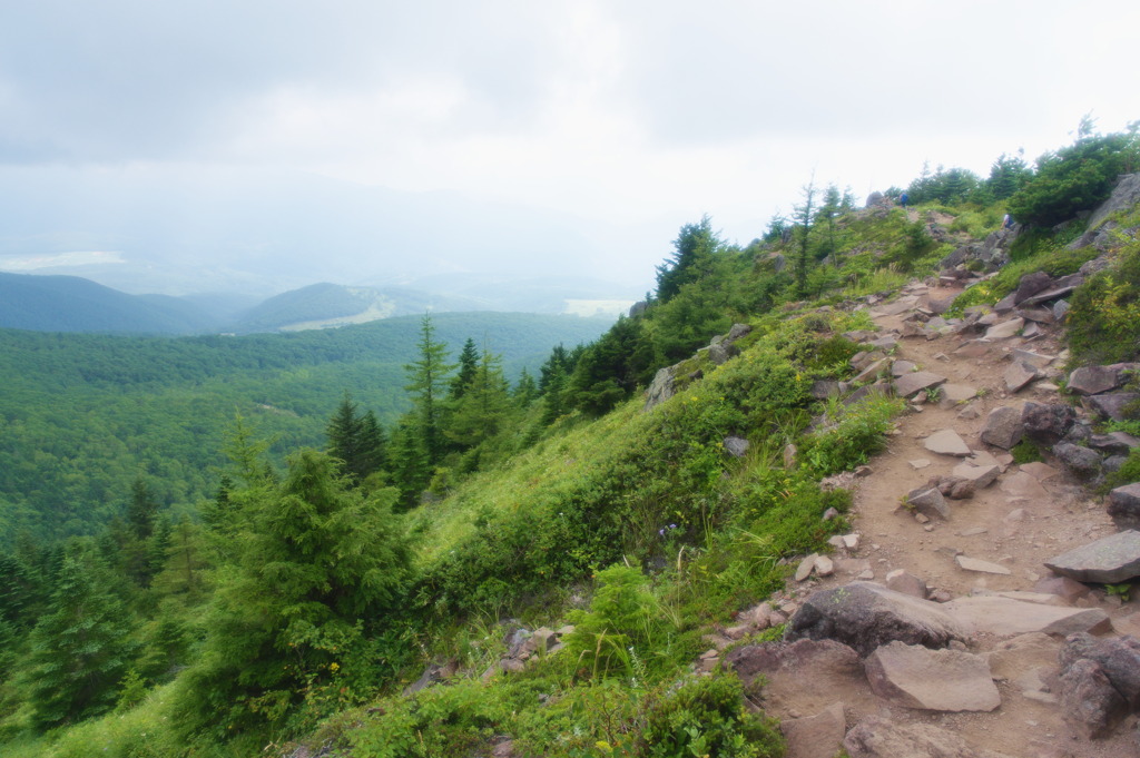 四阿山登山道夕立前