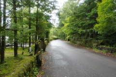 別荘地の街路