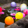 花手水 秋桜