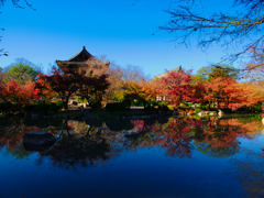 東寺の水鏡