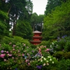 花の寺 岩船寺