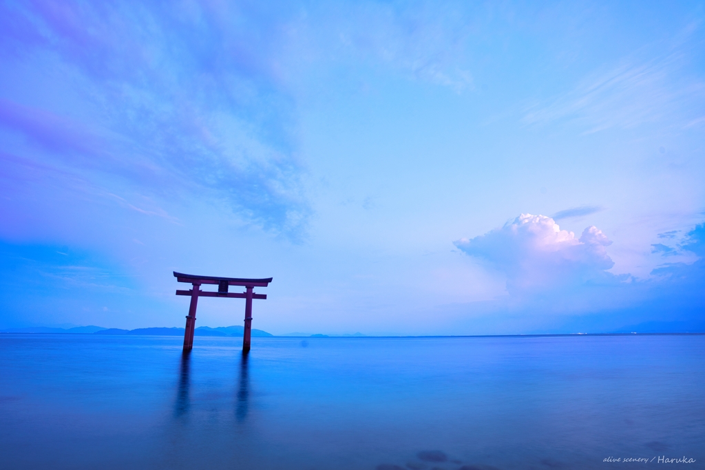 黄昏の白鬚神社