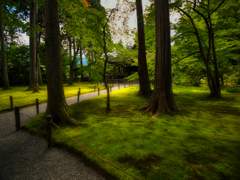 京の苔園