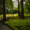京の苔園