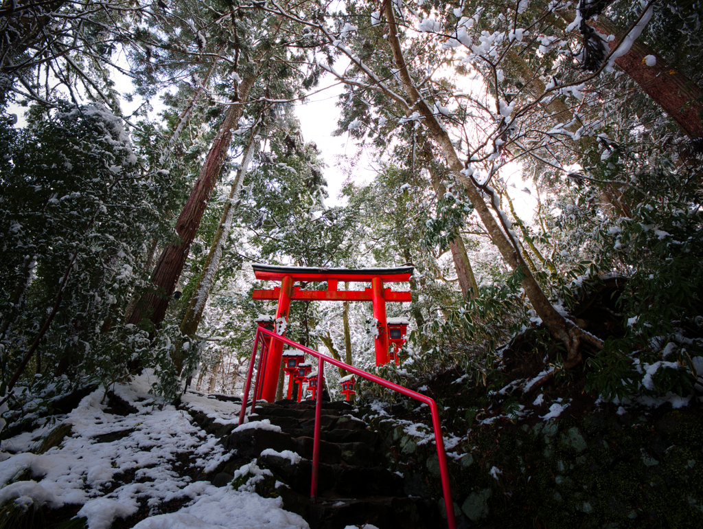 雪に鳥居