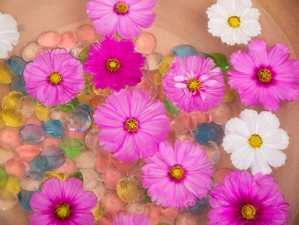 花手水 秋桜