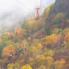 空からの紅葉狩り～霧中～