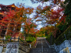 清水の舞台を見上げて