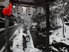 京都 雪化粧