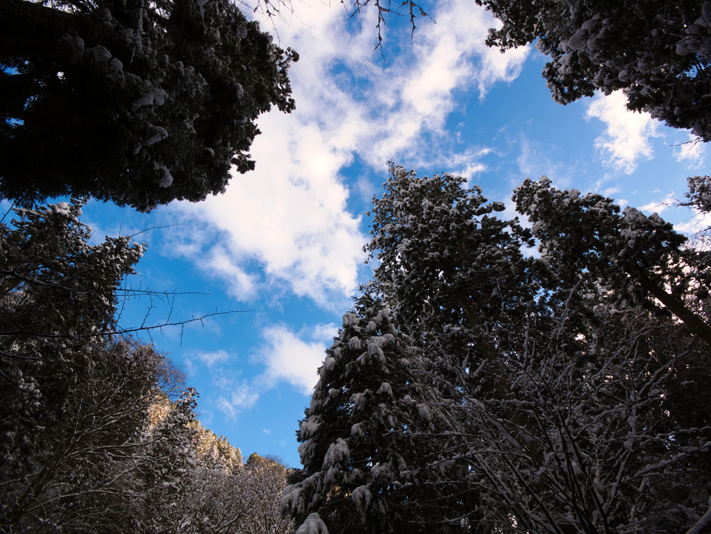 雪景色に晴れ間
