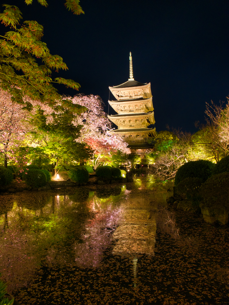 春の宴