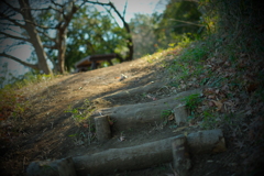 三ッ池公園 散歩