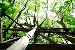 稲毛神社リベンジ