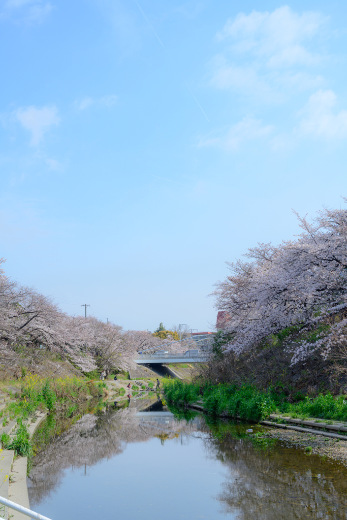 春_3