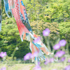 鯉のぼり