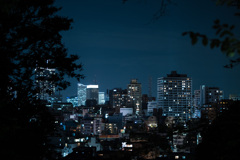 山手からの夜景