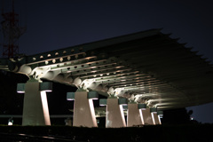 夜の散歩