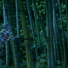 鎌倉　長谷寺