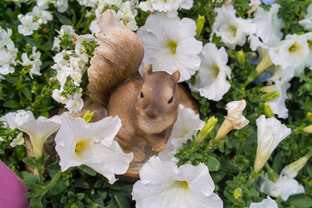 山下公園の花壇