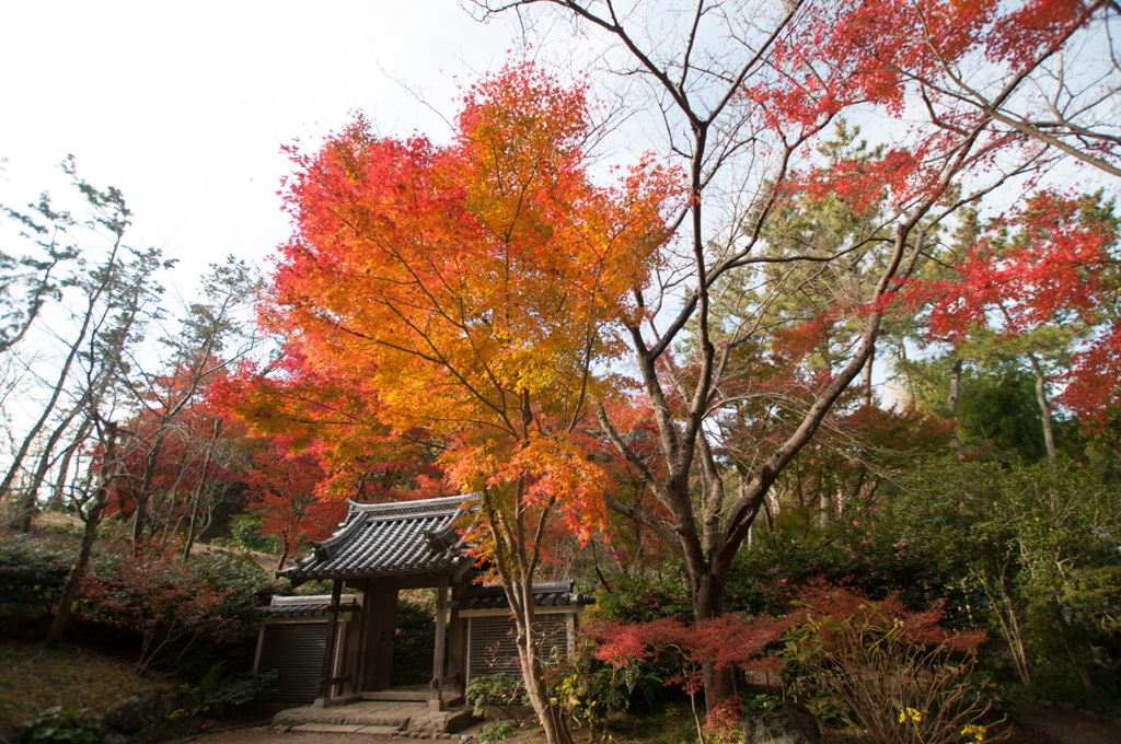 三溪園