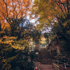 大山