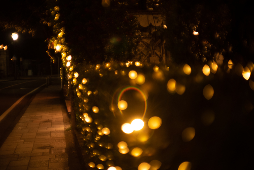 夜の散歩　横浜　山手