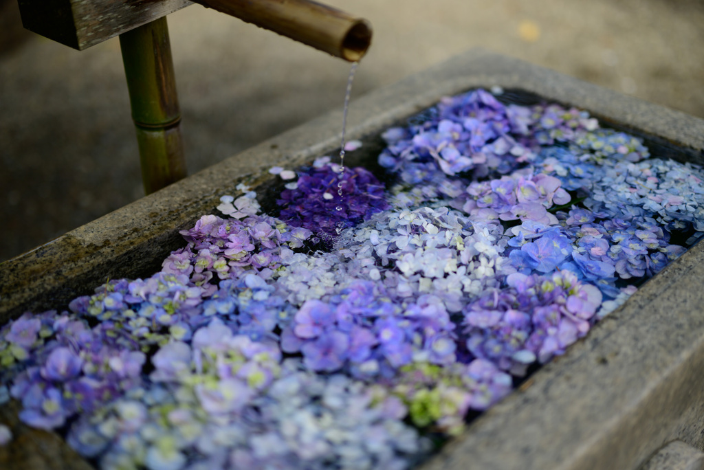 花手水