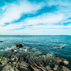 海