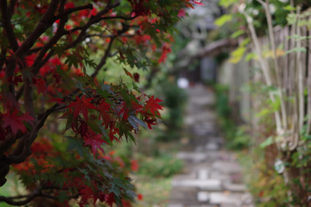 光則寺
