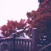 大山阿夫利神社