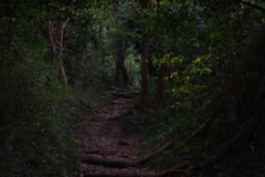 観音崎