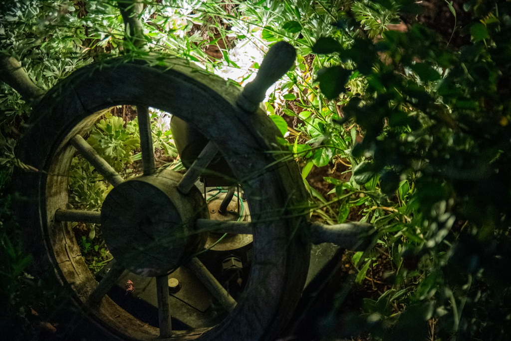 夜の散歩〜山下公園