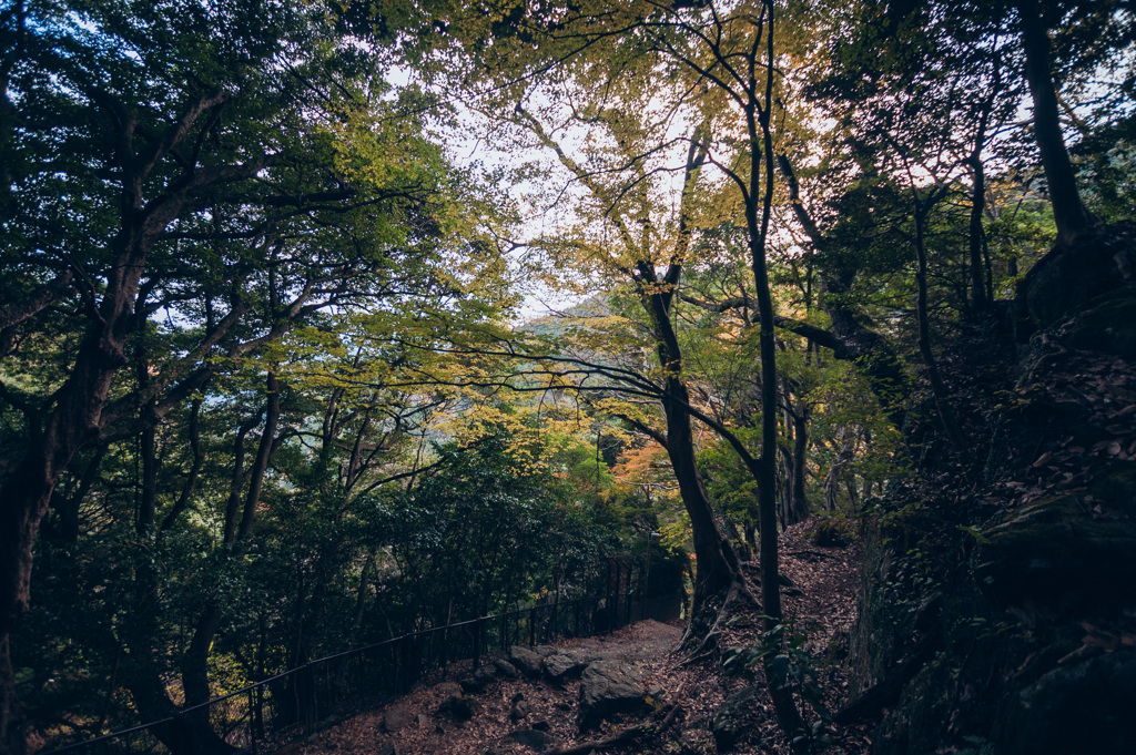 大山