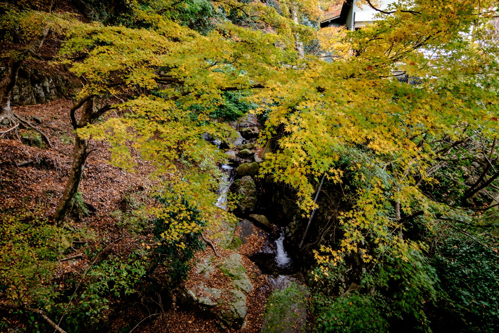 大山