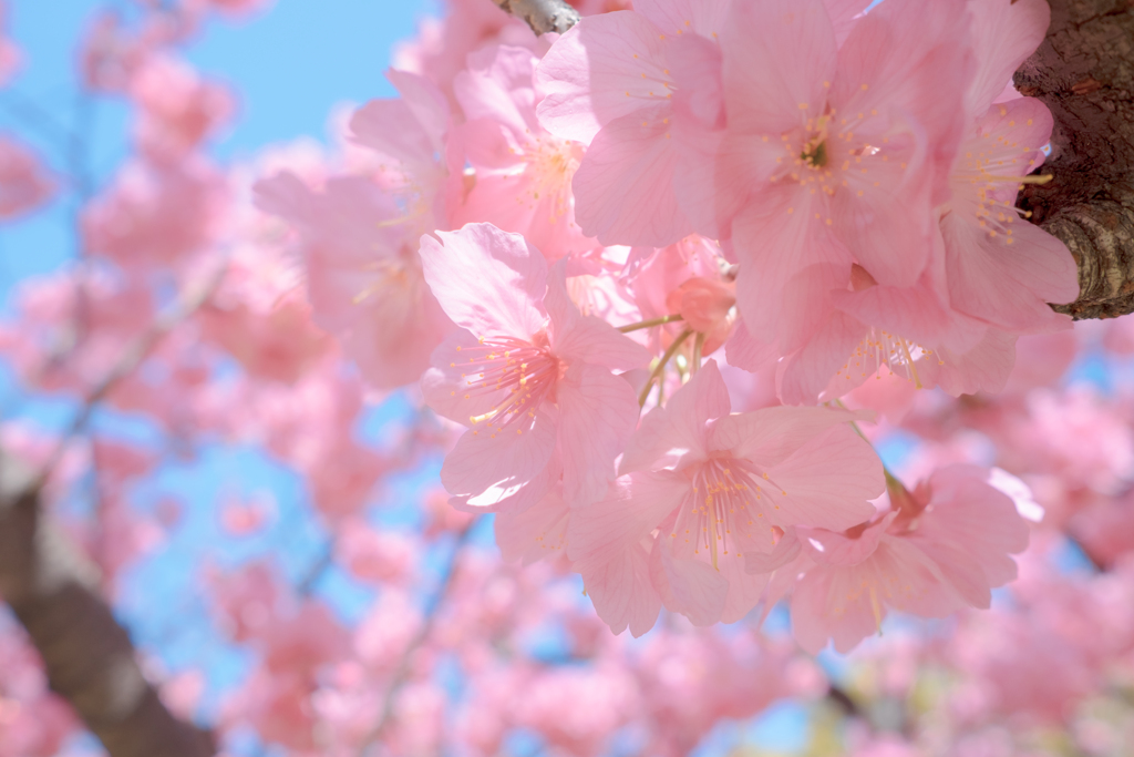 横浜公園にて