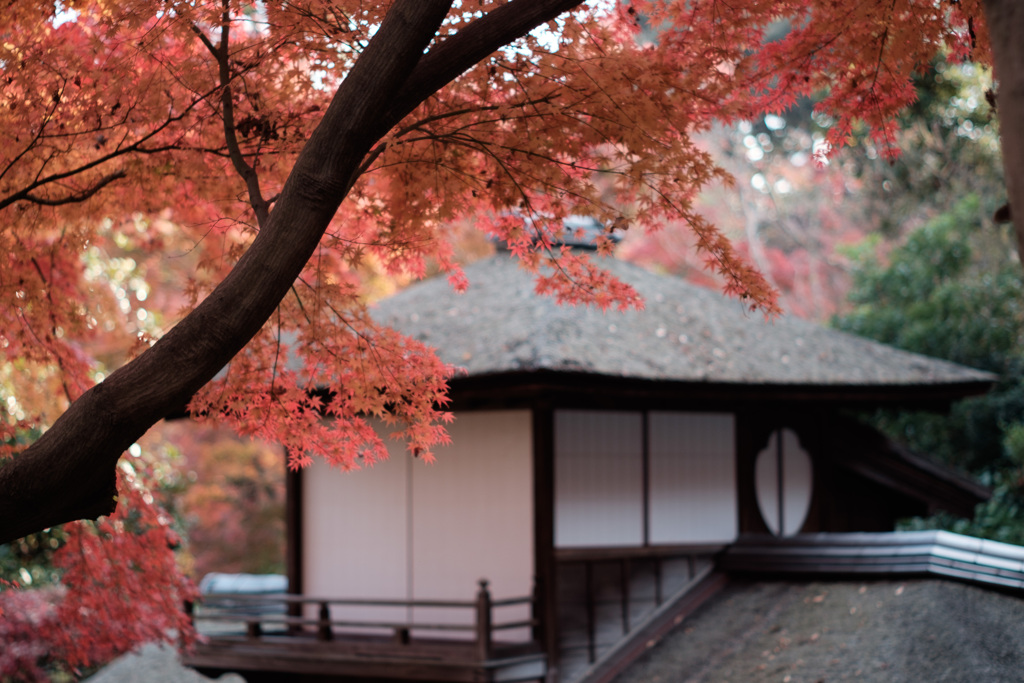 三溪園