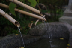 鎌倉　長谷寺