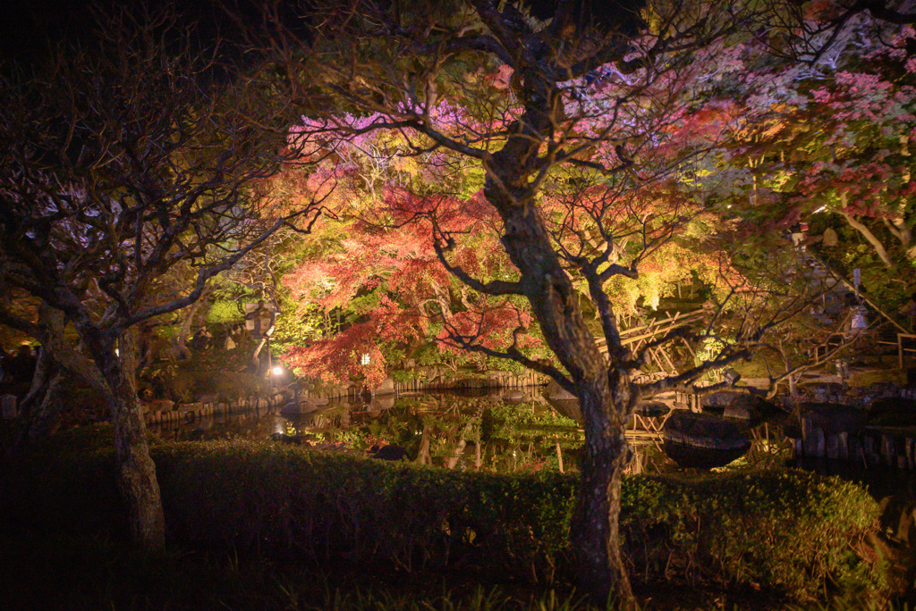 長谷寺 鎌倉