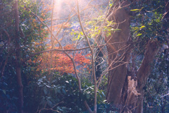 観音崎