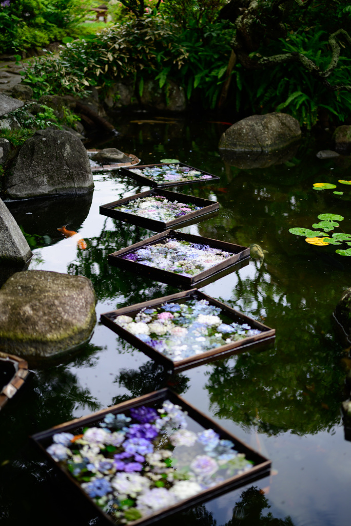 長谷寺　鎌倉