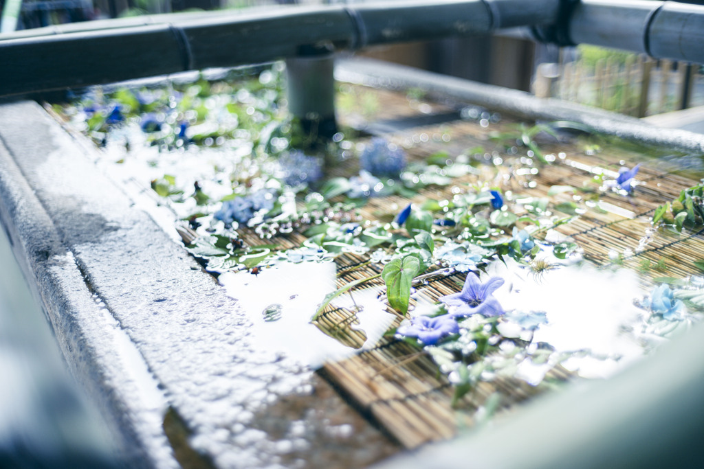琴崎八幡宮、花手水