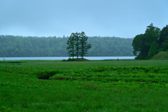 夏の尾瀬沼風景1