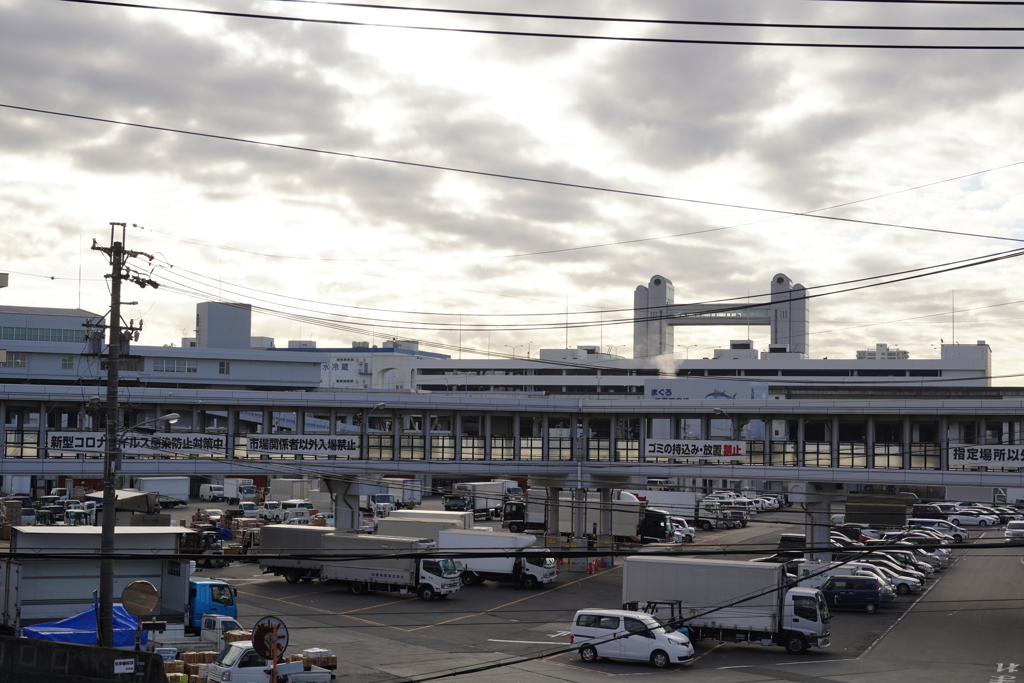 朝の市場