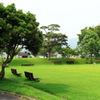 公園の風景