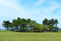 小戸公園の芝広場
