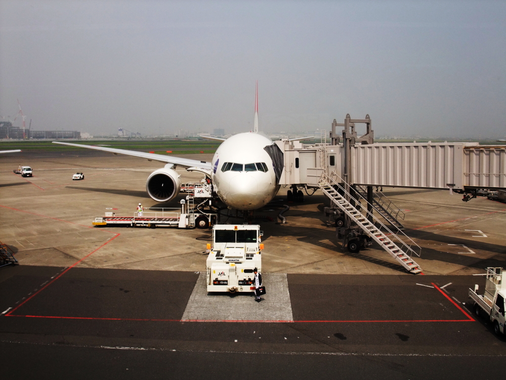 駐機場で見かけた飛行機 - 1