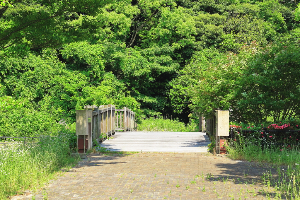 木の橋