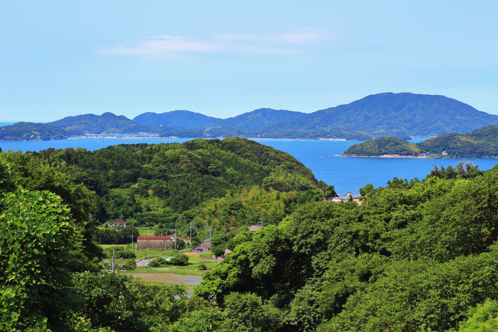 加茂ゆらりんこ橋から見た景色①