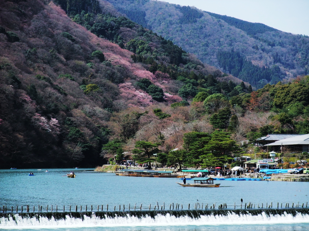 春の嵐山